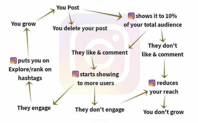 schematic of how instagram algorithm works