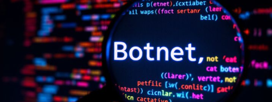 a magnifier detect botnet in a source code